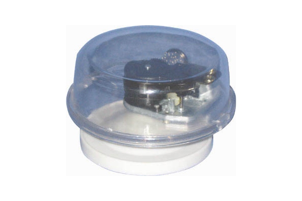 Muzikinė plastikinė dėžutė