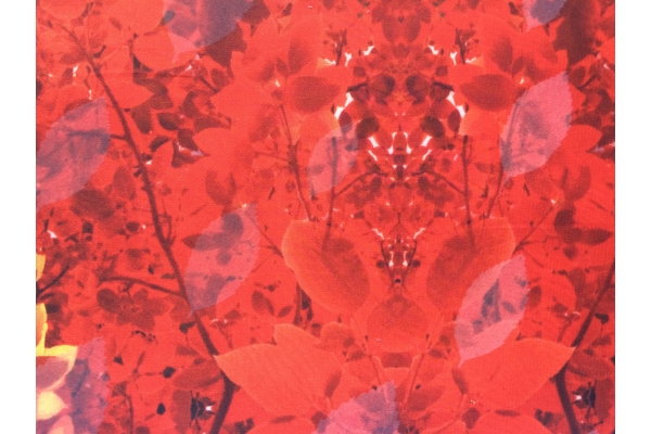 Šviesą atspindinti medžiaga