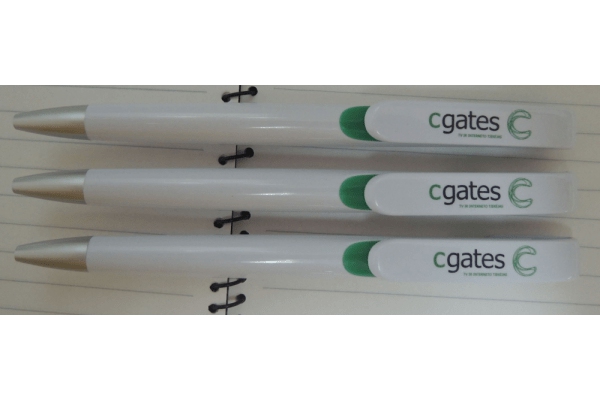 Pastikinis tušinukas