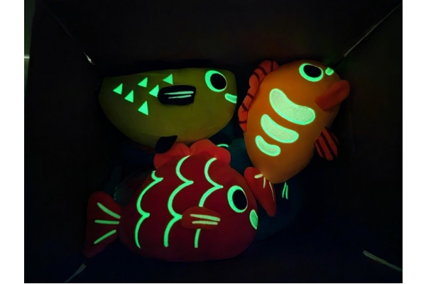Fluorescentinės žuvytės, pliušinės